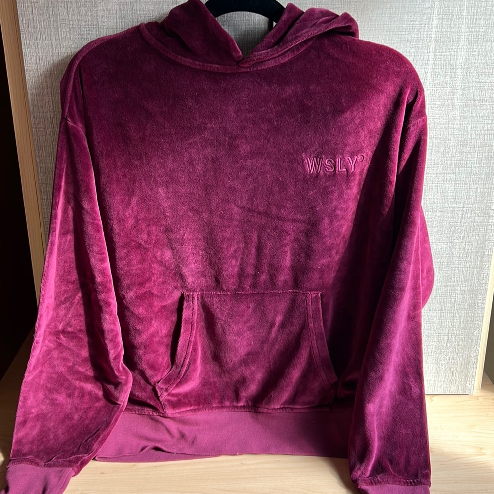 Brand new WSLY velour long sleeve hoodie XS